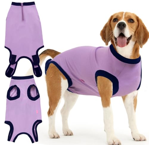 Wabdhaly Spay Genesungsanzug für Hunde, groß, Violett, Chirurgie, Erholungseinteiler, Reißverschluss, Anti-Lecken, Kegel-Alternative, Violett, Größe XXL von Wabdhaly