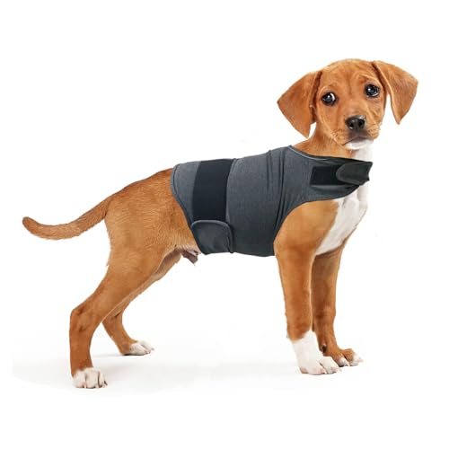 Hunde-Angst-Shirt, Jacke, Stressabbau-Mantel, verstellbare Weste für Feuerwerk, Gewitter, beruhigende Weste, Wickelkleidung für Hunde, Größe M Hunde-Angst-Shirt, Jacke, Stressabbau-Mantel, verstellbare Weste für Feuerwerk, Gewitter, beruhigende Weste, Wickelkleidung für Hunde, Größe M von WacHomz