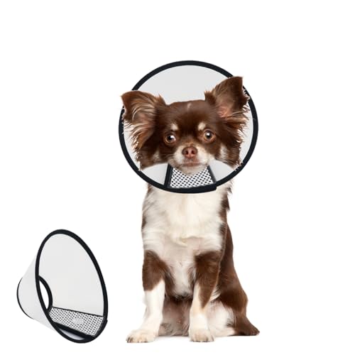 WacHomz Hundekegel nach Operationen, verstellbares Haustier-Genesungshalsband für Hunde und Katzen, Kunststoff, elisabethanischer Hals, E-Halsband, stoppt das Lecken von Wunden (M) von WacHomz
