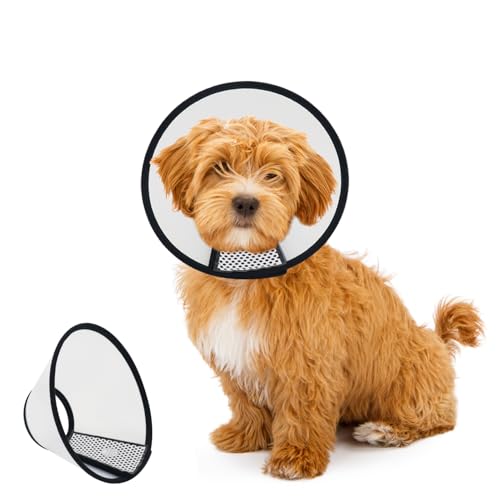 WacHomz Hundekegel nach Operationen, verstellbares Haustier-Genesungshalsband für Hunde und Katzen, Kunststoff, elisabethanischer Hals, E-Halsband, stoppt das Lecken von Wunden (S) von WacHomz