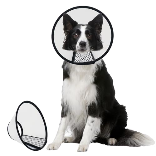 WacHomz Hundekegel nach Operationen, verstellbares Haustier-Genesungshalsband für Hunde und Katzen, Kunststoff, elisabethanischer Hals, E-Halsband, stoppt das Lecken von Wunden (XXL-D) von WacHomz