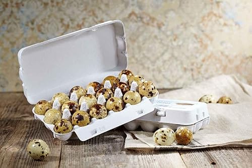 Delikatess Wachteleier Speiseeier 18 Stück Delikatess Wachteleier Speiseeier 18 Stück von WachtelGlück