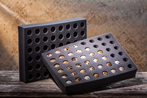 WachtelGlück® Bruteiverpackung 48er von WachtelGlück
