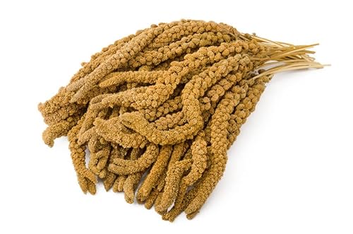 WachtelGlück® Kolbenhirse gelb 2 kg von WachtelGlück