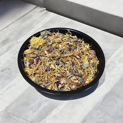 WachtelGlück® Snackteller von WachtelGlück