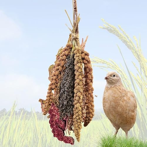 WachtelGlück KnabberMix, Naturmischung verschiedener Hirsekolben, 150g von WachtelGlück
