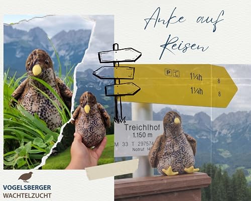 WachtelGlück Plüschwachtel „Anke“ WachtelGlück Plüschwachtel „Anke“ von WachtelGlück