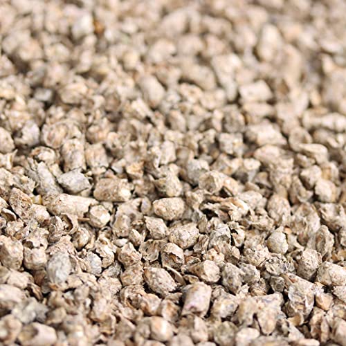 Dinkel-Fein 15kg - Dinkeleinstreu für Wachteln, Hühner & anderes Geflügel Dinkel-Fein 15kg - Dinkeleinstreu für Wachteln, Hühner & anderes Geflügel von WachtelGold