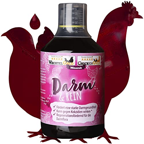WachtelGold Darm&rein 250ml- Trinkwasserzusatz kann gegen Darmparasiten helfen - für Wachteln, Hühner & Co. WachtelGold Darm&rein 250ml- Trinkwasserzusatz kann gegen Darmparasiten helfen - für Wachteln, Hühner & Co. von WachtelGold