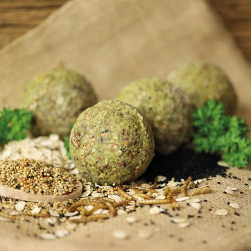 WachtelGold Knödelspaß - 9 Pick-Knödel für Vögel - mit Leinsamen, Mehlwürmern, Petersilie & Schwarzkümmel WachtelGold Knödelspaß - 9 Pick-Knödel für Vögel - mit Leinsamen, Mehlwürmern, Petersilie & Schwarzkümmel von WachtelGold