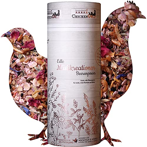 WachtelGold Müslikreation Beerenpower 550g - vielfältiges Müsli für Wachteln, Hühner, Enten, Gänse & Co. WachtelGold Müslikreation Beerenpower 550g - vielfältiges Müsli für Wachteln, Hühner, Enten, Gänse & Co. von WachtelGold