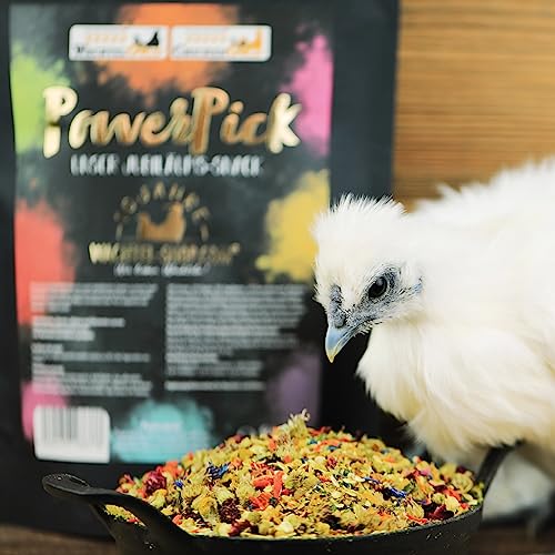 WachtelGold PowerPick - Bunte Hirse, Sämereien, Kräuter, Gammarus und Co. - für Wachteln, Hühner & Co. WachtelGold PowerPick - Bunte Hirse, Sämereien, Kräuter, Gammarus und Co. - für Wachteln, Hühner & Co. von WachtelGold