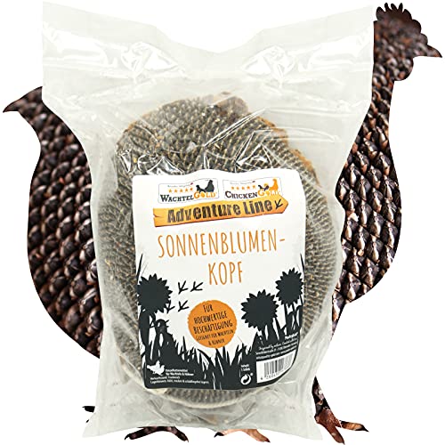 WachtelGold- Sonnenblumenkopf - 1 Stück - ideale Beschäftigung für Wachteln WachtelGold- Sonnenblumenkopf - 1 Stück - ideale Beschäftigung für Wachteln von WachtelGold