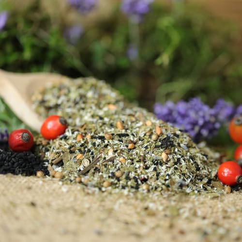 WachtelGold Winter-Darmkur 400g - Ergänzungsfuttermittel für Geflügel - aus rein pflanzlichen Zutaten! WachtelGold Winter-Darmkur 400g - Ergänzungsfuttermittel für Geflügel - aus rein pflanzlichen Zutaten! von WachtelGold