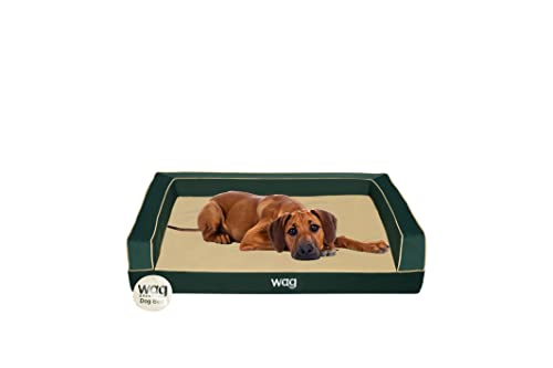 WagLifestyle Premium-Haustier-Hundebett, mehrschichtige Konstruktion mit kühlendem Energy-Gel und Kupfer-Infusion, maschinenwaschbarer Bezug und wasserabweisendes Innenfutter, Größe M, Kieferngrün WagLifestyle Premium-Haustier-Hundebett, mehrschichtige Konstruktion mit kühlendem Energy-Gel und Kupfer-Infusion, maschinenwaschbarer Bezug und wasserabweisendes Innenfutter, Größe M, Kieferngrün von Wag Brands