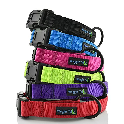 Waggin Tails Classic Comfort Hundehalsband Premium Nylon Neopren gepolstert Hundehalsband für kleine, mittelgroße oder große Hunde, XLarge, schwarz von Waggin Tails