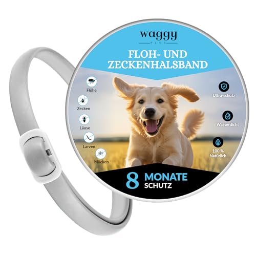 WAGGY PLUS Anti-Parasiten-Halsband für große, mittlere und kleine Hunde. Wirksamer Schutz für Ihr Haustier gegen Flöhe, Zecken, Larven, Läuse und Mücken. 100% natürlich. WAGGY PLUS Anti-Parasiten-Halsband für große, mittlere und kleine Hunde. Wirksamer Schutz für Ihr Haustier gegen Flöhe, Zecken, Larven, Läuse und Mücken. 100% natürlich. von Waggy Plus