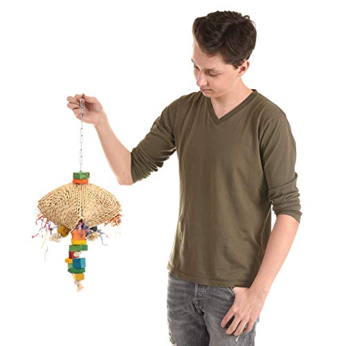 Wagner's | Jelly-Delly mit Edelstahl Kette, Papageienspielzeug, Spielzeug für Papageien Wagner's | Jelly-Delly mit Edelstahl Kette, Papageienspielzeug, Spielzeug für Papageien von Wagner's