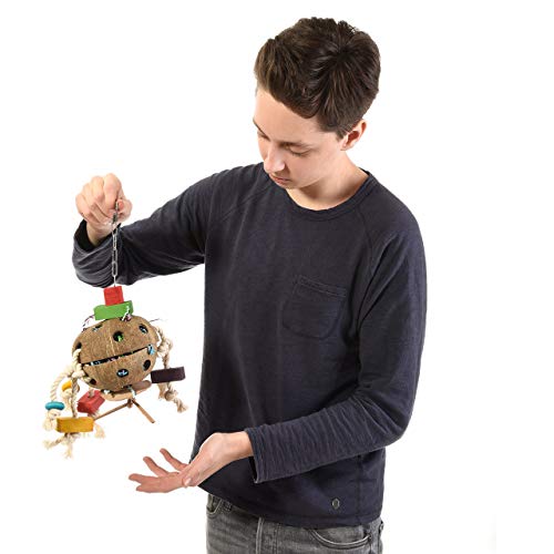 Wagner's | Papageien Spielzeug Coconut Fun II, mit Edelstahl Kette, Vogel Spielzeug für mittlere und große Papageien, Kokusnuss Spielzeug Wagner's | Papageien Spielzeug Coconut Fun II, mit Edelstahl Kette, Vogel Spielzeug für mittlere und große Papageien, Kokusnuss Spielzeug von Wagner's