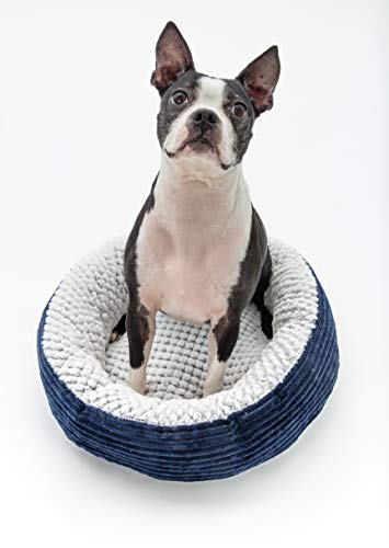 Wags N' Whiskers Caden Orthopädisches Haustierbett, Cord, Größe L, Marineblau Wags N' Whiskers Caden Orthopädisches Haustierbett, Cord, Größe L, Marineblau von Wags N' Whiskers