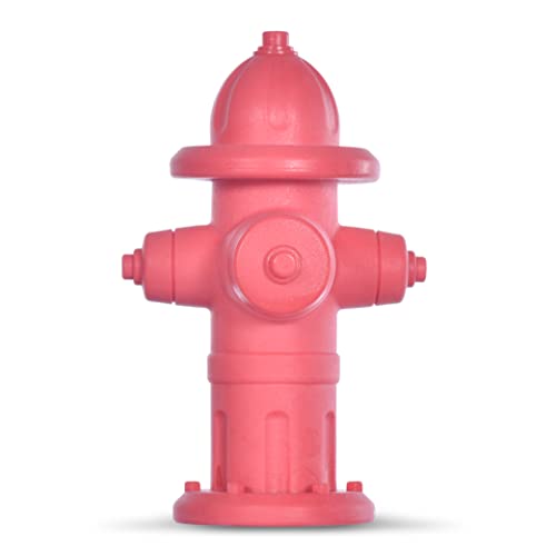 Wags & Wiggles: Feuerhydrant schwimmfähiges TPR-Hundespielzeug,lustiges Sommer-Poolspielzeug für Hunde, robustes, schwimmendes Wasserspielzeug Feuerhydrant quietschendes Spielzeug für Hunde von Wags & Wiggles