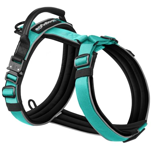 WagvyGo Premium-Y-förmiges Hundegeschirr für Training und täglichen Spaziergang, kein Ziehen, Abenteuer-Geschirr mit Griff und 3 Leinenhaken, strapazierfähiges Nylon, weiche Polsterung, Hundeweste für von WagvyGo