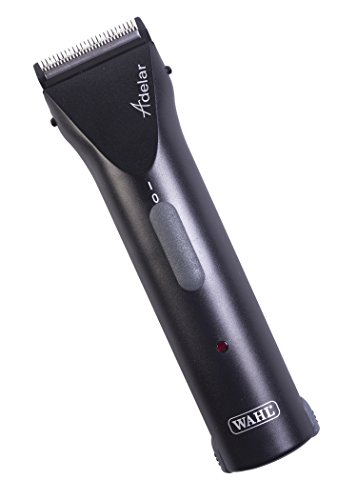WAHL 5037127014592 Adelar Kabelloser Pferdehaartrimmer WAHL 5037127014592 Adelar Kabelloser Pferdehaartrimmer von Wahl
