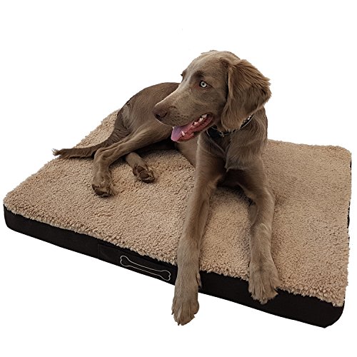 Waidmeister Hundebett Benji - orthopädisches Hundekissen - Haustierbett - Hundeliege mit waschbarem Bezug - Hundesofa Beige (L 72cm) von Waidmeister