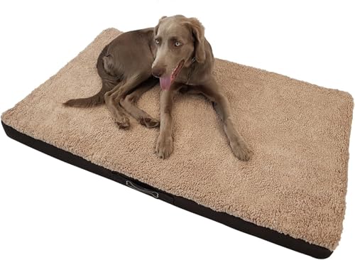 Waidmeister Hundebett Benji - orthopädisches Hundekissen - Haustierbett - Hundeliege mit waschbarem Bezug - Hundesofa Beige (XXL 120cm) von Waidmeister