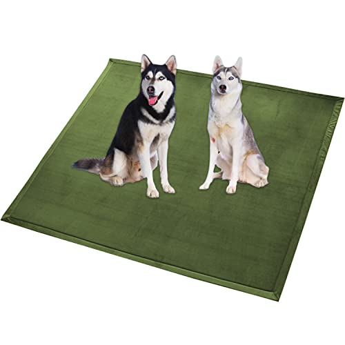 Extra große Hundebettmatte, XXL-Hundematte, weicher Korallen-Samtbereich, rutschfest, waschbar, für Katzen, Anti-Angst-Hundekissen (110 x 110 cm, Grün) von Waigg Kii