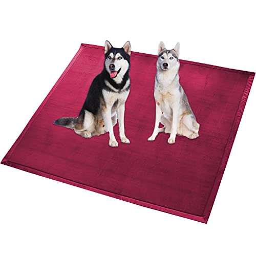 Extra große Hundebettmatte, XXL-Hundematte, weicher Korallen-Samtbereich, rutschfest, waschbar, für Katzen, Anti-Angst-Hundekissen (110 x 80 cm, Rot) von Waigg Kii