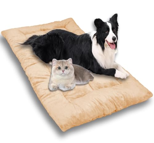 Großes Hundebett, waschbar, Autosofa, orthopädisches Hundebett, beruhigender Schlaf, gemütlich, Hundebett, Anti-Angst, Reisekissen (Beige, Größe XL - 120 x 60 cm) von Waigg Kii