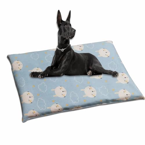 Großes Hundebett, waschbar, Haustierbett für Hunde, beruhigend, weiche Hundematte mit abnehmbarem Bezug, luxuriöses Haustierkissen für mittelgroße und große Hunde (Hellblau, 60 x 80 cm) von Waigg Kii