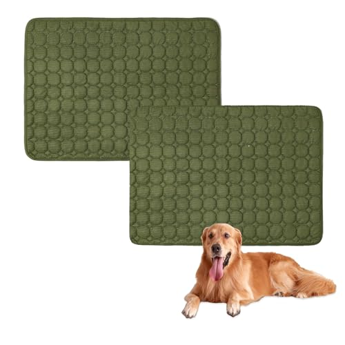 Großes Hundebett, waschbar, rutschfest, weich, Hundematratze, luxuriöses Haustier für kleine, mittelgroße und große Hunde, Grün, 100 x 70 cm, 2 Stück Großes Hundebett, waschbar, rutschfest, weich, Hundematratze, luxuriöses Haustier für kleine, mittelgroße und große Hunde, Grün, 100 x 70 cm, 2 Stück von Waigg Kii