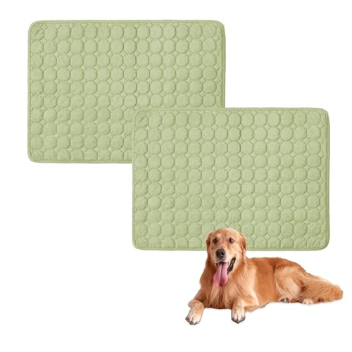 Großes Hundebett, waschbar, rutschfest, weich, Hundematratze, luxuriöses Haustier für kleine, mittelgroße und große Hunde, Hellgrün, 100 x 70 cm, 2 Stück von Waigg Kii