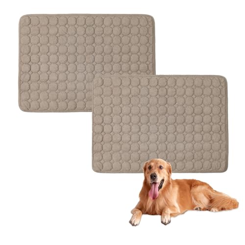 Großes Hundebett, waschbar, rutschfest, weich, Hundematratze, luxuriöses Haustier für kleine, mittelgroße und große Hunde, Kaffee, 75 x 50 cm, 2 Stück von Waigg Kii