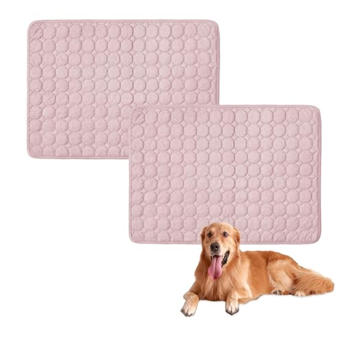 Großes Hundebett, waschbar, rutschfest, weich, Hundematratze, luxuriöses Haustier für kleine, mittelgroße und große Hunde, Rosa, 60 x 40 cm, 2 Stück von Waigg Kii