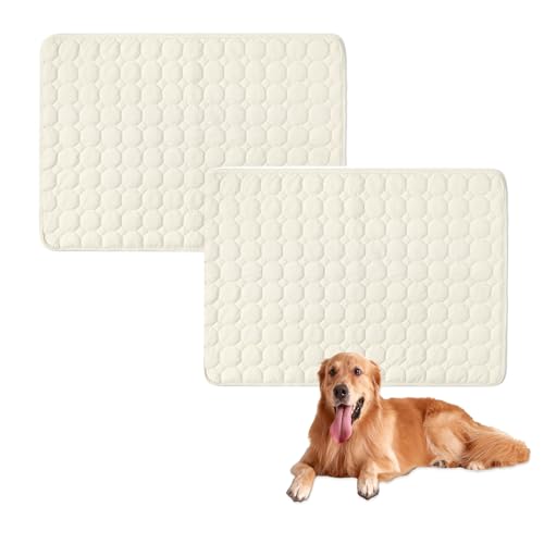 Großes Hundebett, waschbar, rutschfest, weich, Hundematratze, luxuriöses Haustier für kleine, mittelgroße und große Hunde, Weiß, 30 x 30 cm, 2 Stück von Waigg Kii