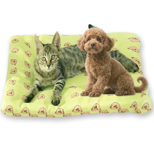 Hundebett, waschbar, beruhigendes Haustierkissen, strapazierfähiges Katzenbett, Sofa, leicht zu reinigen, Matratze für unordentliche Haustiere im Innenbereich (S-55 x 40 cm, B) von Waigg Kii