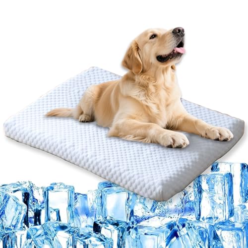 Kühlmatte für Hunde, waschbar, langlebig, kühlende Matte für Hunde und Katzen, Eisdecke, hält den Hund im Sommer kühl, Haustierkissen (L-90 x 60 x 5 cm, Blau) von Waigg Kii
