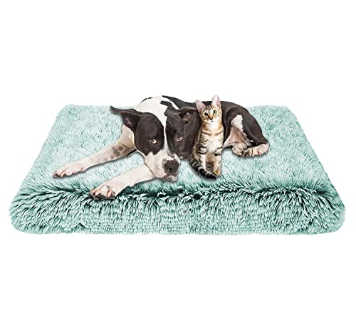 Memory-Schaumstoff-Hundebett, groß, orthopädisch, weich, Plüsch, Hundebett, flauschig, beruhigend, rutschfest, waschbar (120 x 80 x 7 cm, grün) von Waigg Kii