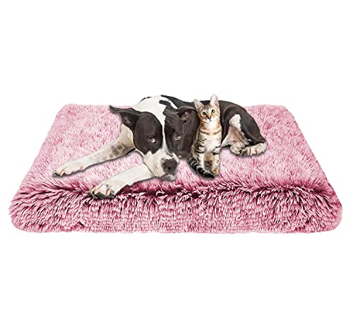 Memory-Schaumstoff-Hundebett, groß, orthopädisch, weich, Plüsch, Hundebett, flauschig, beruhigend, rutschfest, waschbar (50 x 40 x 5 cm, Rosenrot) von Waigg Kii