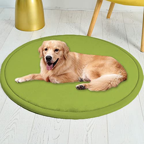 Roung Hundebettmatte, weiches Korallen-Samt, große Haustier-Schlafmatte, warmer Bodenteppich, rutschfester Teppich für Wohnzimmer, Schlafzimmer (rund, 100 cm, grün) von Waigg Kii