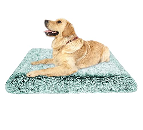 Ultraweiche Plüsch-Hundebett-Matratze, Eierkiste, groß, orthopädisch, abnehmbar, waschbar, rutschfest, Hunde-Schlafkissen (M, Grün) von Waigg Kii