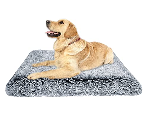 Ultraweiche Plüsch-Hundeboxen-Matratze, groß, orthopädisch, abnehmbar, waschbar, rutschfest, Größe XXL, Dunkelgrau Ultraweiche Plüsch-Hundeboxen-Matratze, groß, orthopädisch, abnehmbar, waschbar, rutschfest, Größe XXL, Dunkelgrau von Waigg Kii