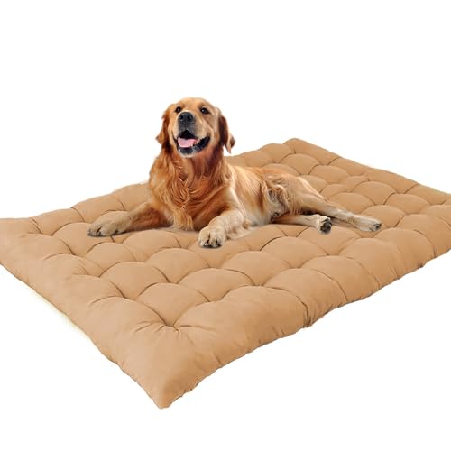 Waigg Kii Extra großes Hundebett, beruhigende Hundematratze, Anti-Angst, waschbar, für mittelgroße und große Hunde (110 x 50 cm, Beige) von Waigg Kii