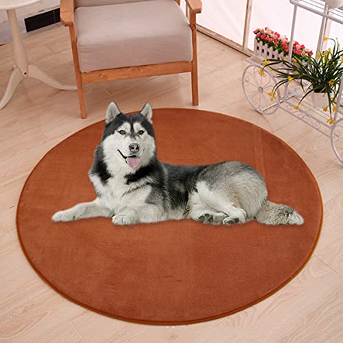 Waigg Kii Große Hundebettmatte, Korallen-Samt, weich, rund, Teppich, Haustiermatte, Anti-Angst-Hundematratze für kleine, mittelgroße und große Katzen und Hunde (120 cm, braun) von Waigg Kii