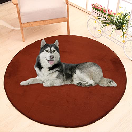 Waigg Kii Große Hundebettmatte, Korallensamt, weich, rund, Teppich, Haustiermatte, Anti-Angst, Hundematratze für kleine, mittelgroße und große Katzen (160 cm, Kaffeebraun) von Waigg Kii