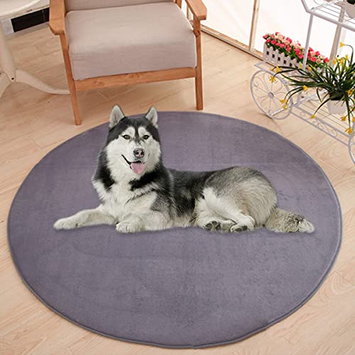 Waigg Kii Große Hundebettmatte, Korallensamt, weich, rund, Teppich, Haustiermatte, Anti-Angst, Hundematratze für kleine, mittelgroße und große Katzen (60 cm, Grau) von Waigg Kii