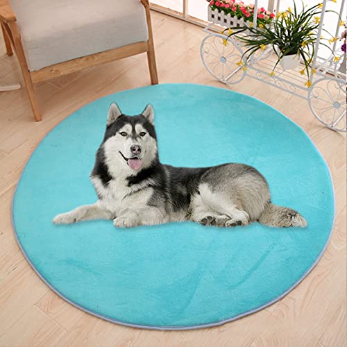 Waigg Kii Große Hundebettmatte, Korallensamt, weich, rund, Teppich, Haustiermatte, Anti-Angst, Hundematratze für kleine, mittelgroße und große Katzen (70 cm, blau) von Waigg Kii